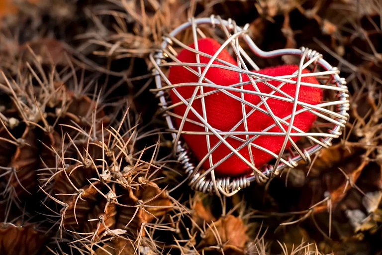 Тревога и сердечно-сосудистые заболевания